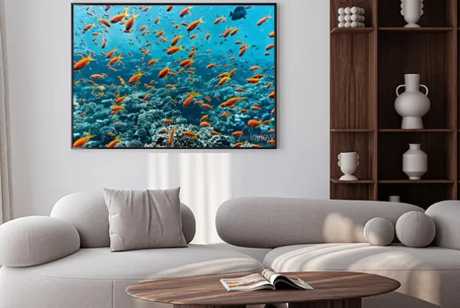 Plakat: Ławica anthias ryb na rafie koralowej