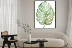 Plakat: Beautiful watercolor tropical leaf painted on white paper, top