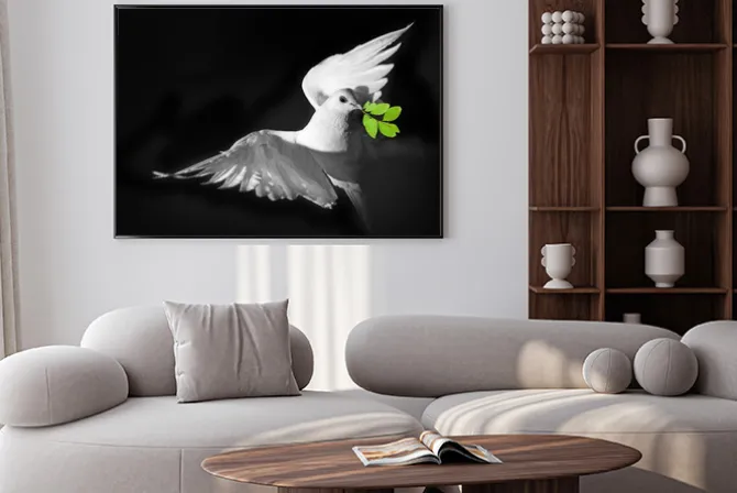 Plakat: Białe gołębie