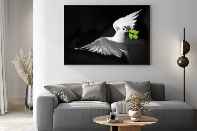 Plakat: Białe gołębie