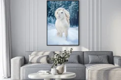 Plakat: Białe kuc szetlandzki uruchomiony w śniegu w zimie