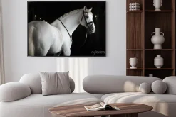 Plakat: Biały koń na czarnym tle