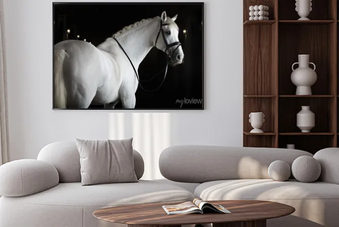 Plakat: Biały koń na czarnym tle