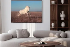 Plakat: Biały koń na wrzosowisku