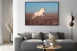 Plakat: Biały koń na wrzosowisku