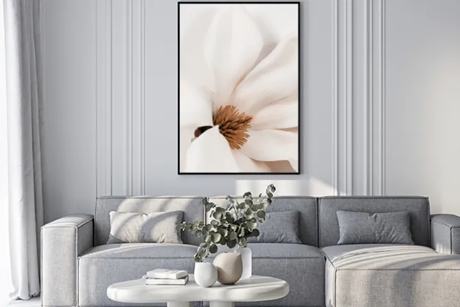 Plakat: Biały kwiat magnolia z bliska