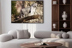 Plakat: Biały tygrys