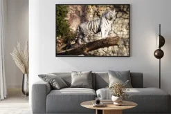 Plakat: Biały tygrys