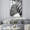 Plakat: Black and white zebra