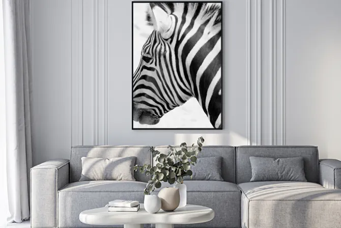 Plakat: Black and white zebra