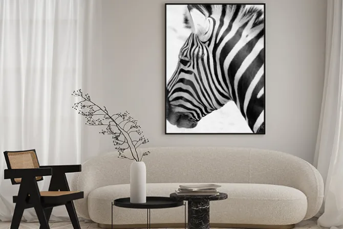 Plakat: Black and white zebra