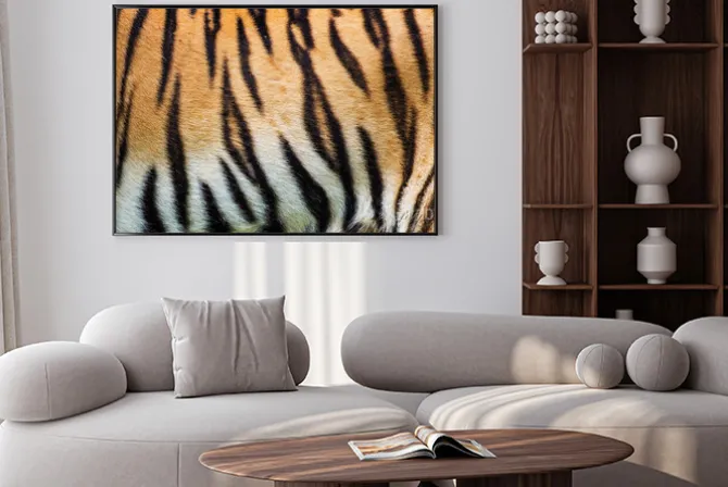 Plakat: Bliska tekstury skóry tygrysa