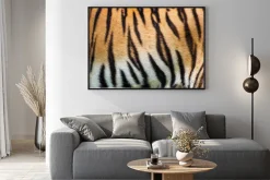 Plakat: Bliska tekstury skóry tygrysa