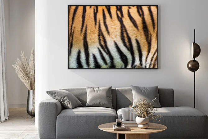 Plakat: Bliska tekstury skóry tygrysa