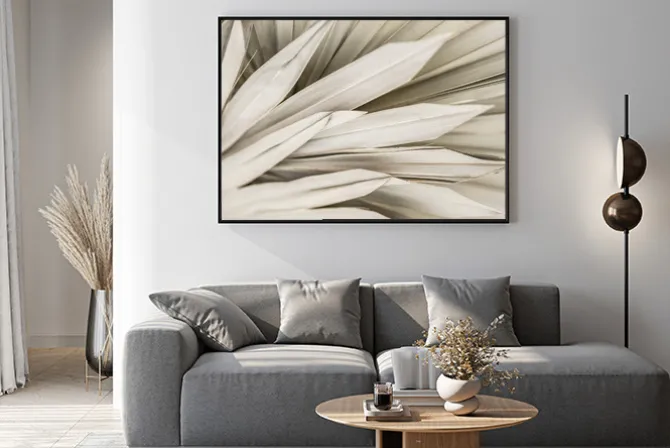 Plakat: Boho styl suszone liście palmy delikatny wzór natury