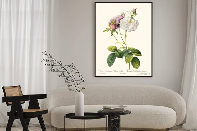 Plakat: Botaniczna ilustracja z gałązką róży