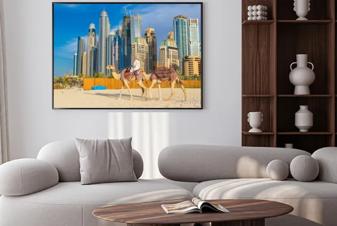 Plakat: Camel w dubai marina