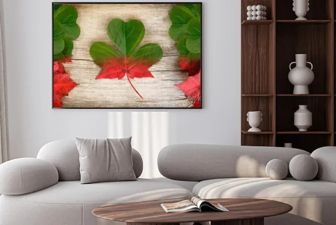 Plakat: Canadian irish flag art concept