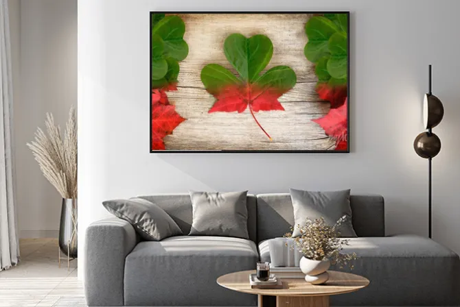 Plakat: Canadian irish flag art concept