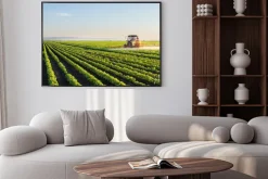 Plakat: Ciągnik rozpylanie pola soi