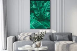 Plakat: Closeup tropical banana leaf nature in the garden and dark tone