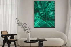 Plakat: Closeup tropical banana leaf nature in the garden and dark tone