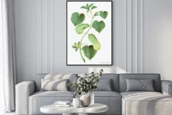 Plakat: Cucumber in vintage style