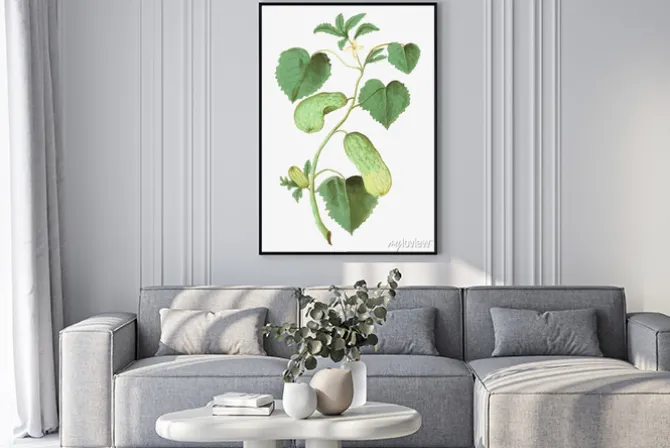 Plakat: Cucumber in vintage style