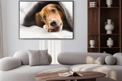 Plakat: Cute puppy wgląd z ciepłym kocem