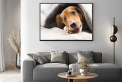 Plakat: Cute puppy wgląd z ciepłym kocem