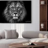 Plakat: Czarno-biały portret majestatycznego lwa