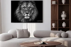 Plakat: Czarno-biały portret majestatycznego lwa
