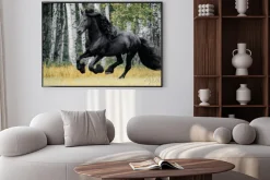 Plakat: Czarny koń na tle brzozowego lasu