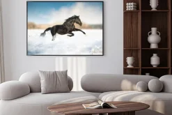 Plakat: Czarny koń prowadzony w śniegu