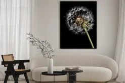 Plakat: Dmuchawiec z bliska na czarnym tle