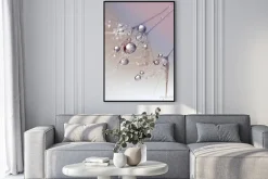 Plakat: Dmuchawiec z kroplami wody zdjęcie makro