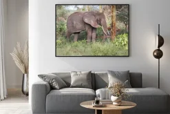 Plakat: Dorosły słoń z dużymi kłami stoją w profilu koło pnia drzewa.