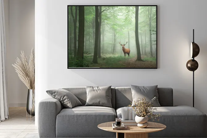 Plakat: Dostojny jeleń w zielonym lesie krajobraz