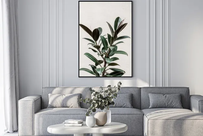 Plakat: Drzewo figowe roślina natura