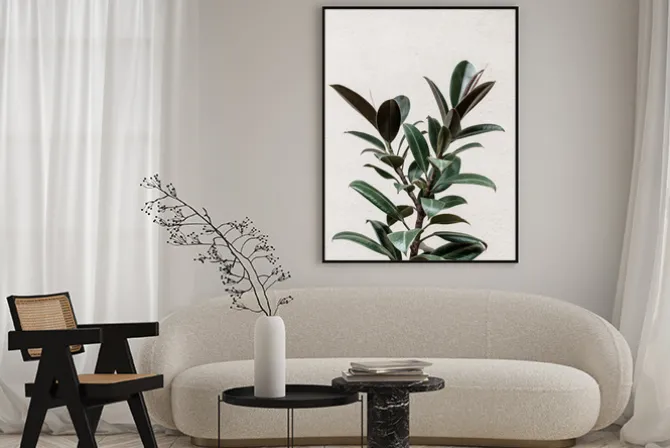 Plakat: Drzewo figowe roślina natura