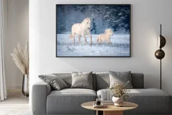 Plakat: Dwa białe konie biegną w polu w zimie