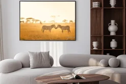 Plakat: Dwie zebry na łące