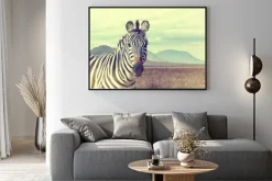 Plakat: Dzikie african zebra. efekt vintage