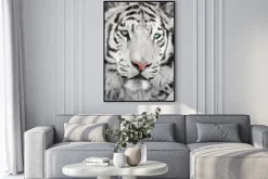 Plakat: Elegancki biały tygrys portret