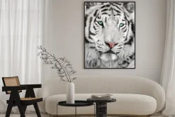 Plakat: Elegancki biały tygrys portret