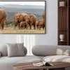 Plakat: Elephant herd