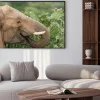 Plakat: Elephant jedzenia opuncja