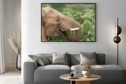 Plakat: Elephant jedzenia opuncja