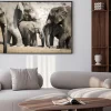 Plakat: Elephant w etosha national park.