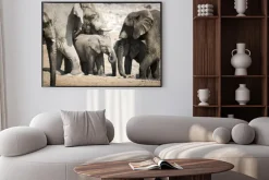 Plakat: Elephant w etosha national park.